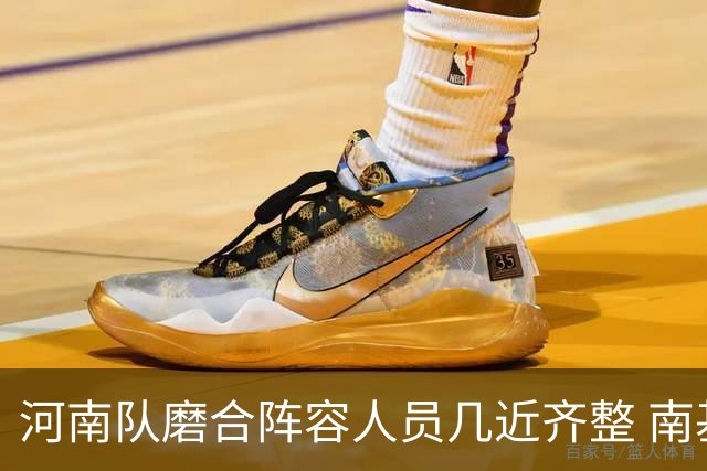 河南队磨合阵容人员几近齐整 南基一剑指中超前六